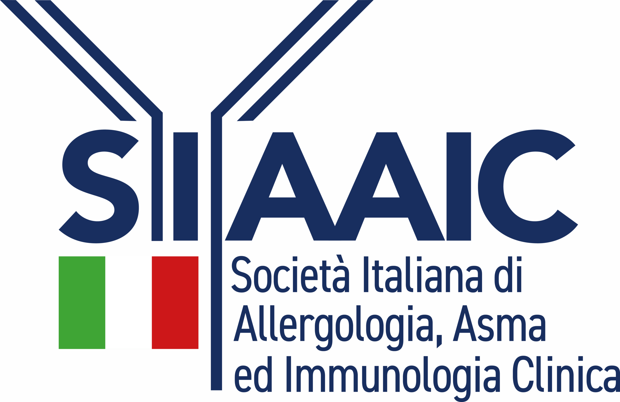 LOGO SIAAIC POSITIVO